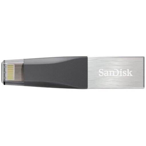 SanDisk 256GB