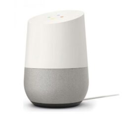 Google Home Assistant Speaker White
