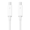 Apple Thunderbolt Cable (0.5 m)